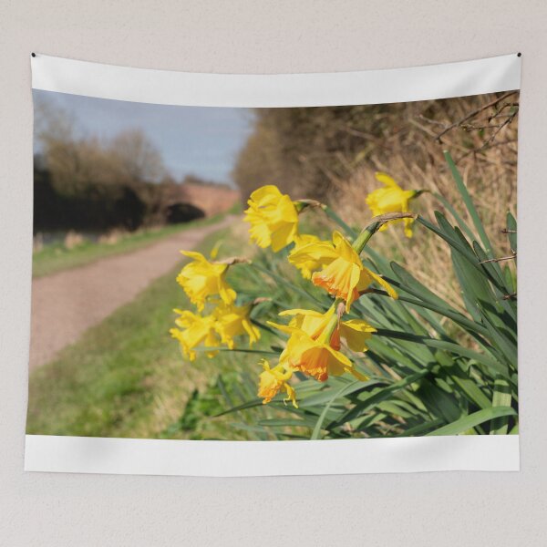 Item preview, Spring Daffs  designed and sold by hawkie.