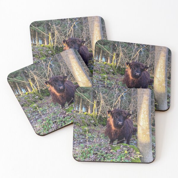 Item preview, Scottish Highland Cattle Calf 2600 designed and sold by SaarelaHighland.