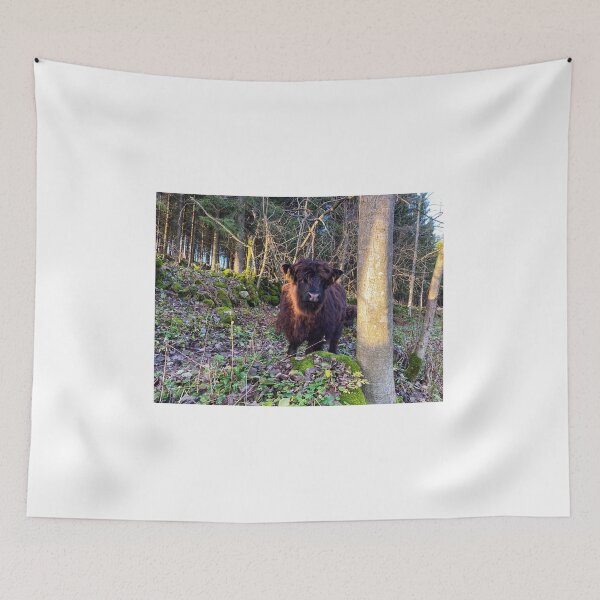 Item preview, Scottish Highland Cattle Calf 2600 designed and sold by SaarelaHighland.