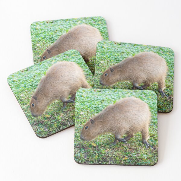 Item preview, Capybara munching the grass designed and sold by Dalyndigital Photography.