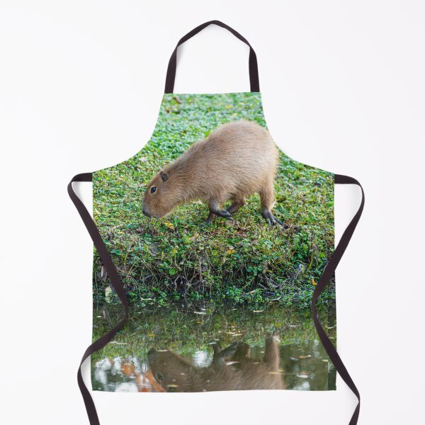 Item preview, Capybara munching the grass designed and sold by Dalyndigital Photography.