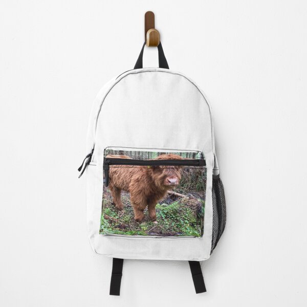 Item preview, Scottish Highland Cattle Calf 2603 designed and sold by SaarelaHighland.