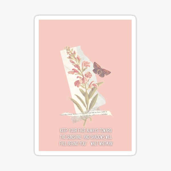 Always face the sunshine. Sticker