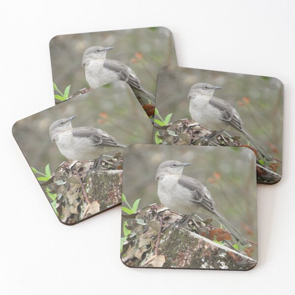 Item preview, have you seen the mockingbird? designed and sold by Surreybirder.