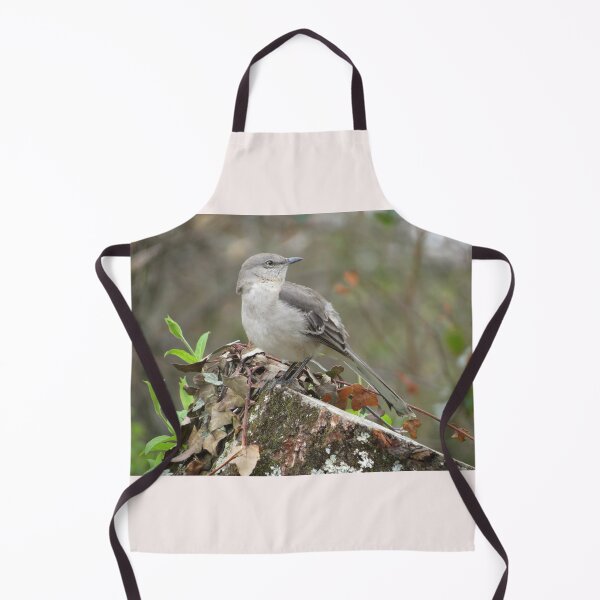 Item preview, have you seen the mockingbird? designed and sold by Surreybirder.