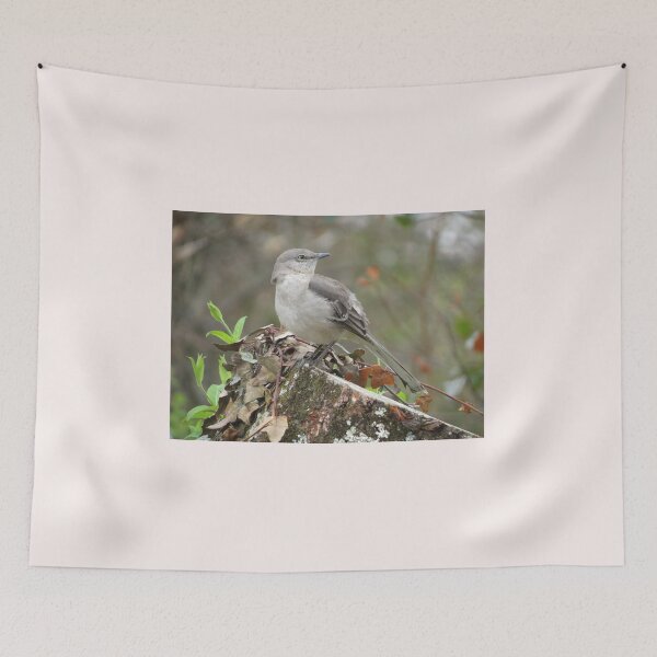 Item preview, have you seen the mockingbird? designed and sold by Surreybirder.