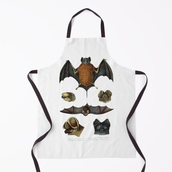 Item preview, 19th C. Bat Species designed and sold by historicimage.