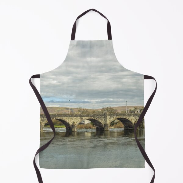 Item preview, Stone Bridge over the River Wye at Builth Wells Brecknockshire Powys designed and sold by Cameranick.