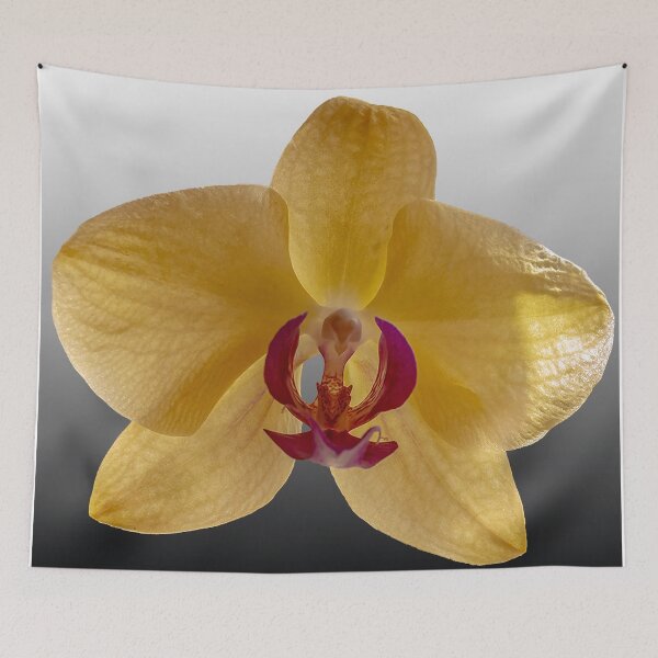 Item preview, An Orchid for Mother's Day 2 designed and sold by Bryan Spellman.