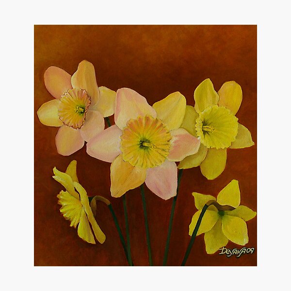 Item preview, DAFFODILS designed and sold by DeyanaDeco.