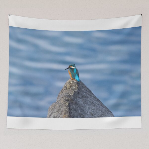 Item preview, Kingfisher waiting & Watching designed and sold by David. C.A. Le Quelenec.