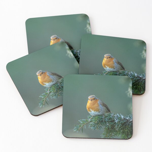 Item preview, Robin on a evergreen Branch designed and sold by David. C.A. Le Quelenec.