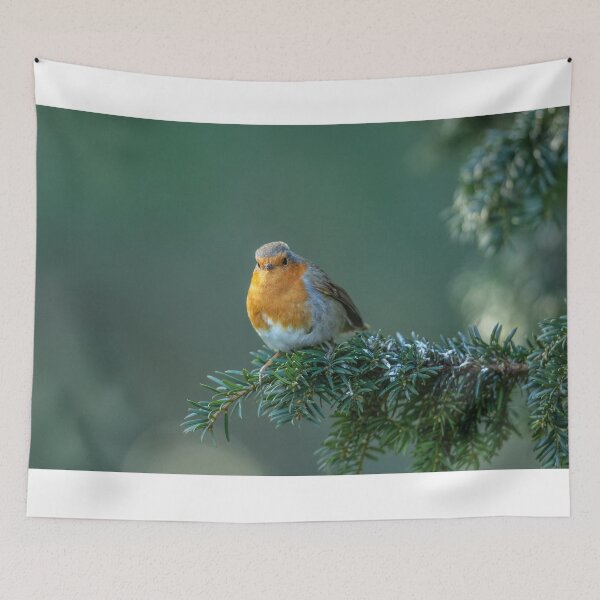 Item preview, Robin on a evergreen Branch designed and sold by David. C.A. Le Quelenec.