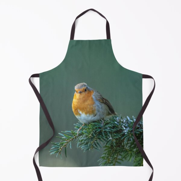 Item preview, Robin on a evergreen Branch designed and sold by David. C.A. Le Quelenec.