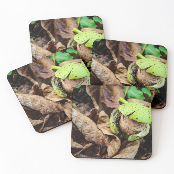 Item preview, Walnut fruit on the grass and dry walnut leaves designed and sold by Mahirov Shop.