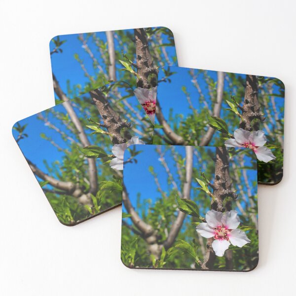 Item preview, Almond flower on a branch designed and sold by Mahirov Shop.