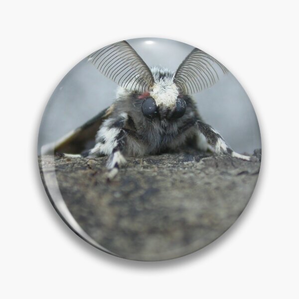 Item preview, cute moth designed and sold by Surreybirder.
