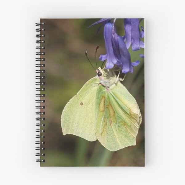 Item preview, Brimstone Butterfly designed and sold by Neil Bygrave (NATURELENS).