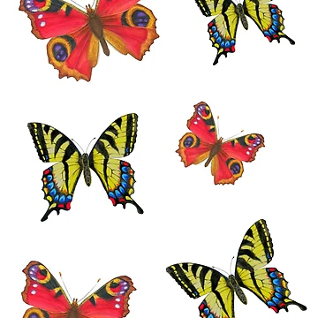 Artwork thumbnail, Butterfly design  by ColorSplendor