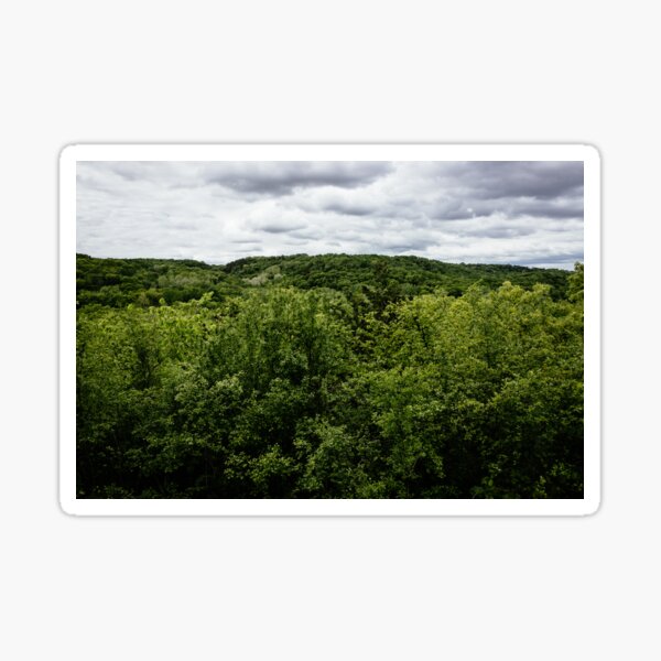 Item preview, Cloudy Day in the Forest of Afton designed and sold by mattgeophoto.