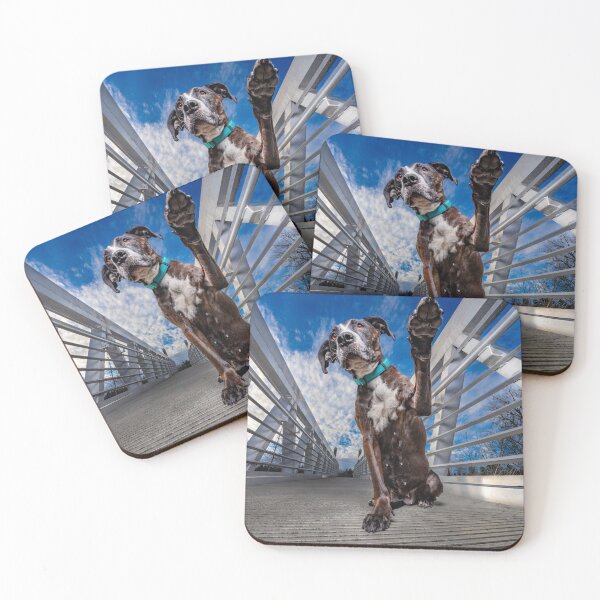 Item preview, High Five Dog designed and sold by BGPhoDOGraphy.
