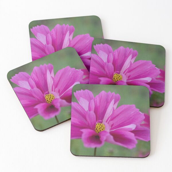 Item preview, Cosmos designed and sold by kjamesphotos.