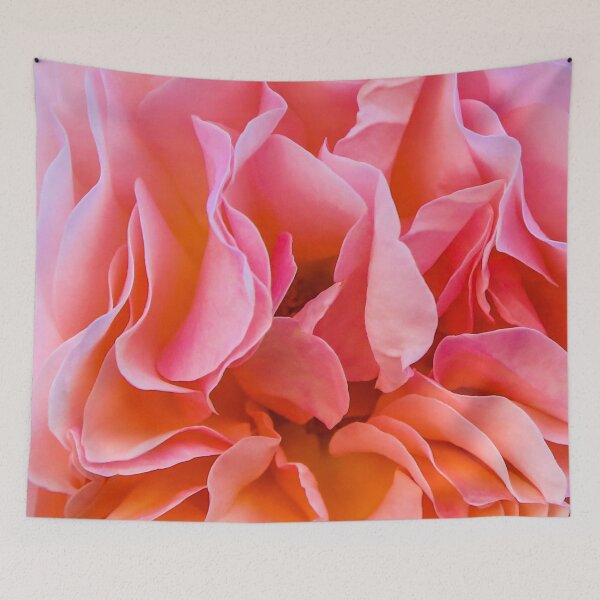 Item preview,  Carnation flower bloom poster designed and sold by JD369.