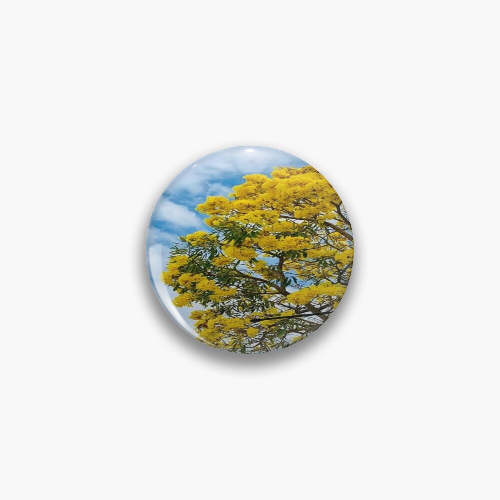 Pin on Flowers and skies