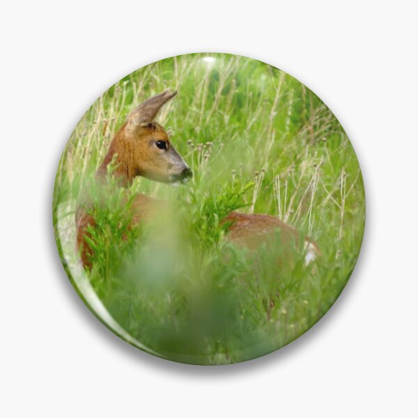 Item preview, Deer in the grass designed and sold by Surreybirder.