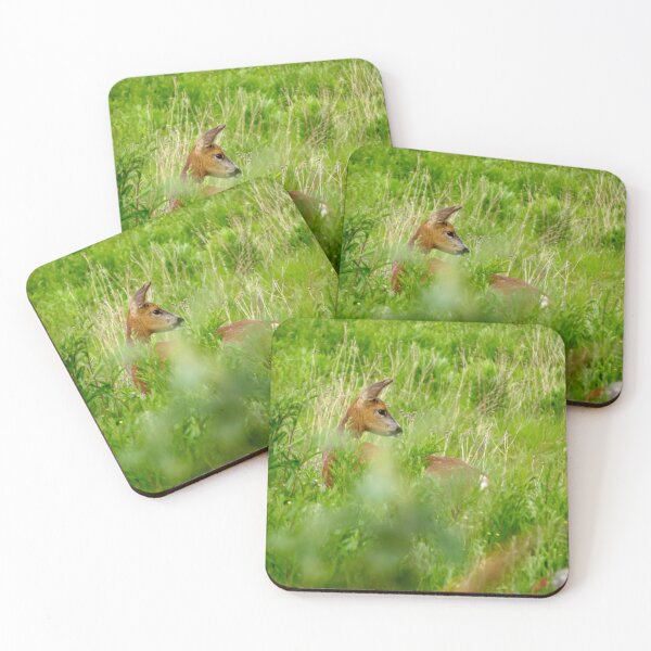 Item preview, Deer in the grass designed and sold by Surreybirder.