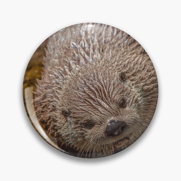 Item preview, Otter Closeup designed and sold by DAM Creative ⭐⭐⭐⭐⭐.