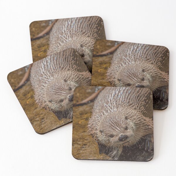 Item preview, Otter Closeup designed and sold by DAM Creative ⭐⭐⭐⭐⭐.