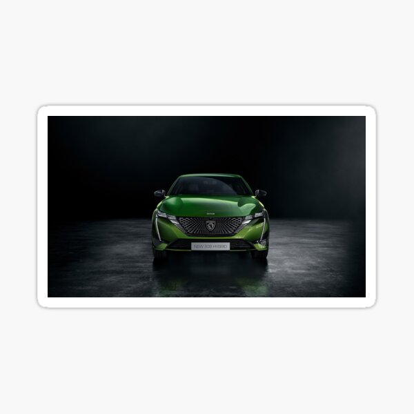 Peugeot 308 3 2021 face Sticker