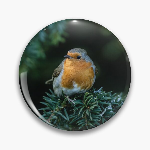Item preview, Robin in a Evergreen Tree designed and sold by David. C.A. Le Quelenec.