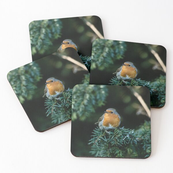 Item preview, Robin in a Evergreen Tree designed and sold by David. C.A. Le Quelenec.