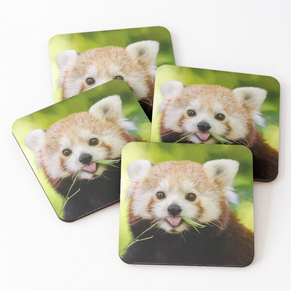 Item preview, Red panda bear designed and sold by PET-SHIRTS.