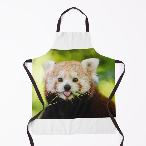 Item preview, Red panda bear designed and sold by PET-SHIRTS.