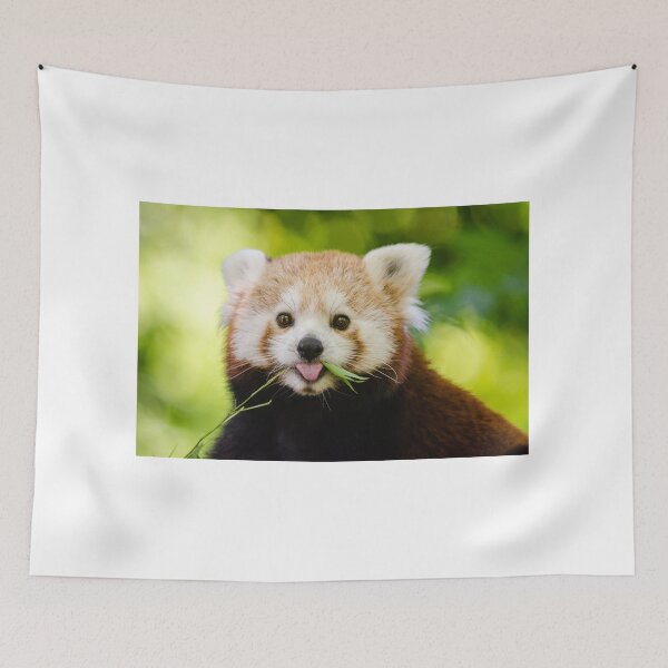 Item preview, Red panda bear designed and sold by PET-SHIRTS.