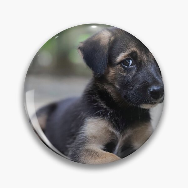 Item preview, A black confused looking puppy sitting on mud and looking at the camera designed and sold by FCEalin.