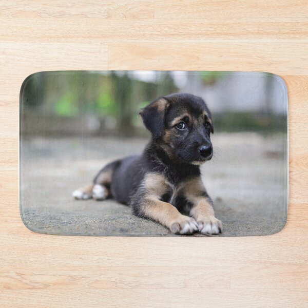 Item preview, A black confused looking puppy sitting on mud and looking at the camera designed and sold by FCEalin.