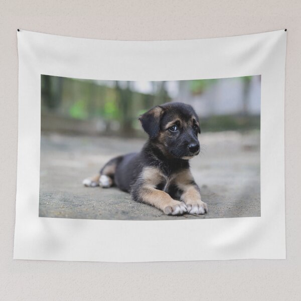 Item preview, A black confused looking puppy sitting on mud and looking at the camera designed and sold by FCEalin.