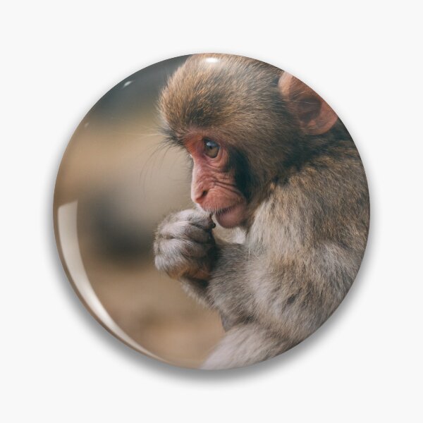 Item preview, The pensive little monkey designed and sold by PET-SHIRTS.