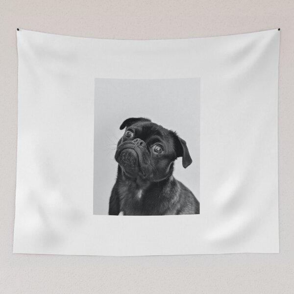 Item preview, Black french bulldog designed and sold by PET-SHIRTS.