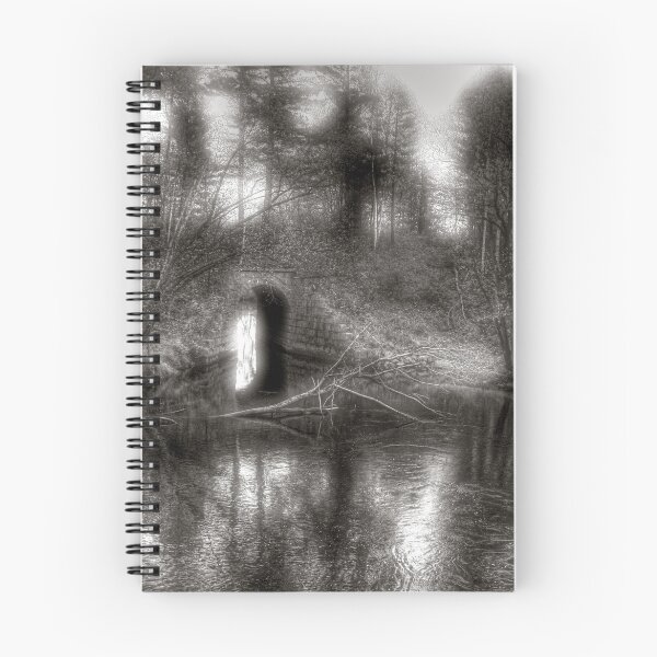 Item preview, Aquaduct Monochrome designed and sold by Wayne King.