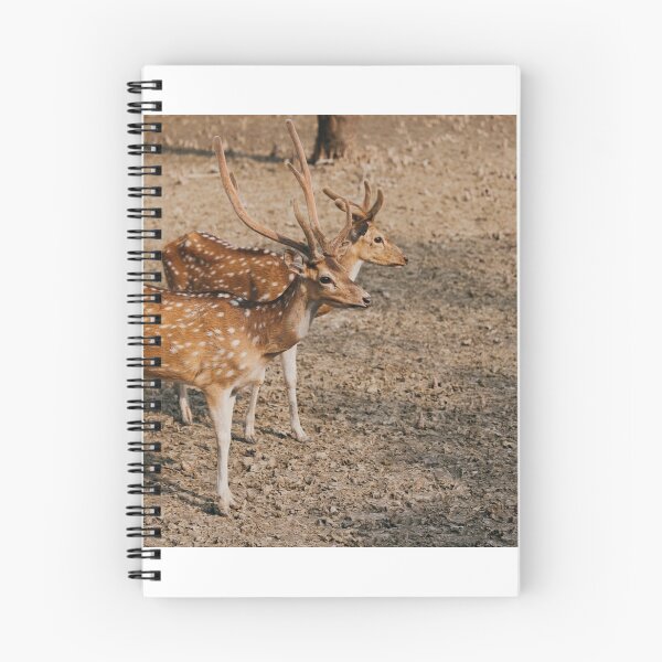 Item preview, Two Chital or spotted deer roaming in the mangrove forest Sundarbans designed and sold by FCEalin.