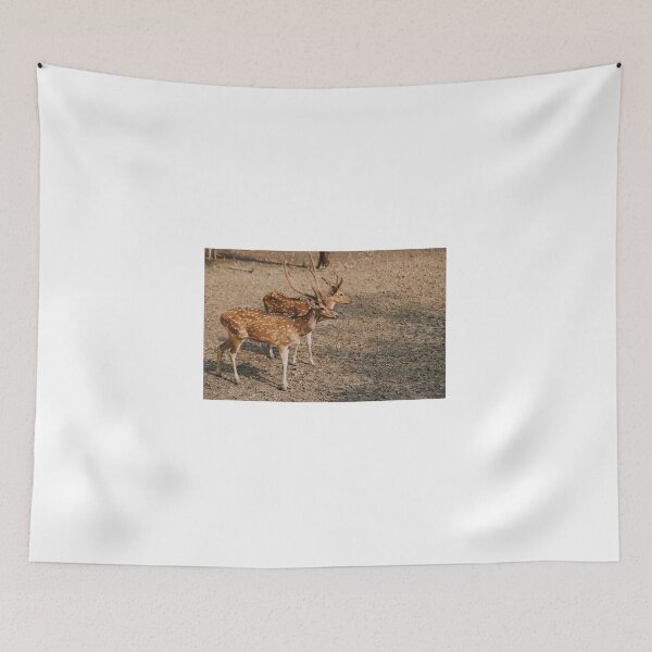 Item preview, Two Chital or spotted deer roaming in the mangrove forest Sundarbans designed and sold by FCEalin.