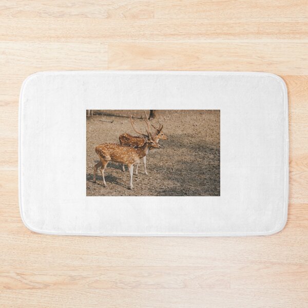 Item preview, Two Chital or spotted deer roaming in the mangrove forest Sundarbans designed and sold by FCEalin.