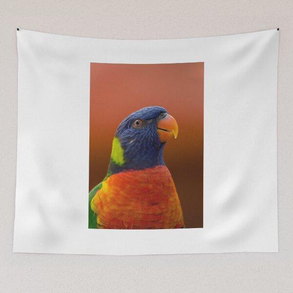 Item preview, Blue, orange and green parrot designed and sold by PET-SHIRTS.