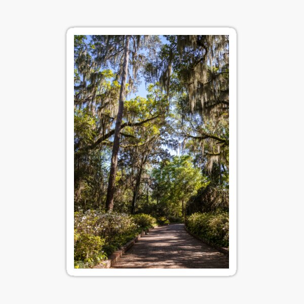 Item preview, Southern Beauty 3 designed and sold by Andrea Anderegg Arts.