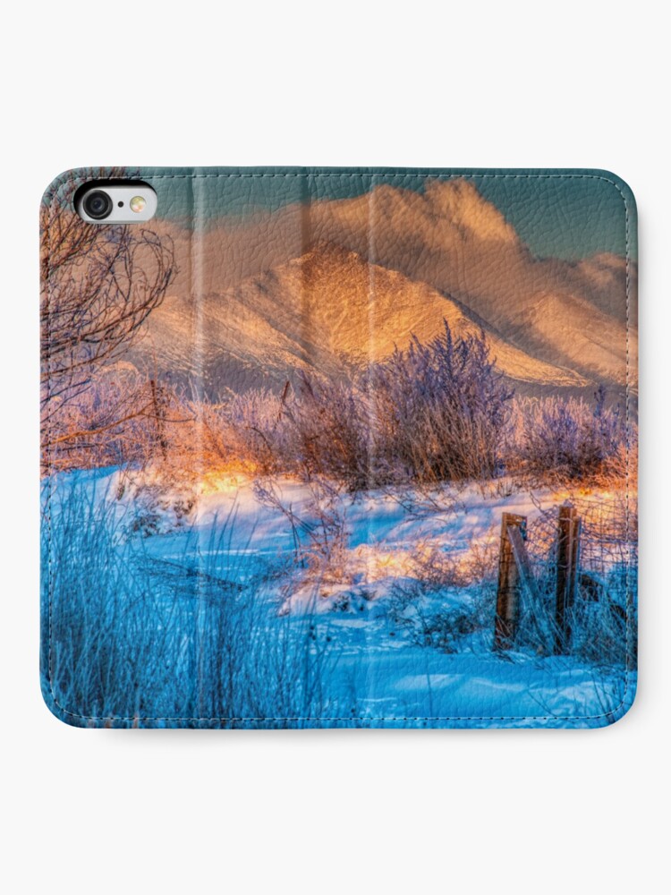 Alternate view of Twin Peaks In Morning Glory iPhone Wallet